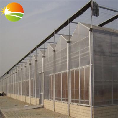 China Stable Steel Frame Structure Galvanized Greenhouse With PC Sheet for sale