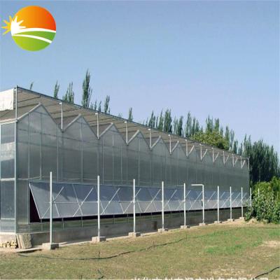 China Stable Frame Galvanizing PC Structure Sheet Polycarbonate Steel Greenhouse for sale