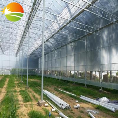 China Stable Structure Polycarbonate PC Sheet UV Coating Greenhouse for sale