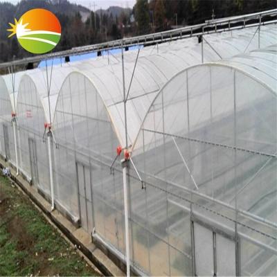 China Easily Assembled Green Houses Commercial Agriculture Greenhouse UV Plastic 200 Micron Used Sale for sale