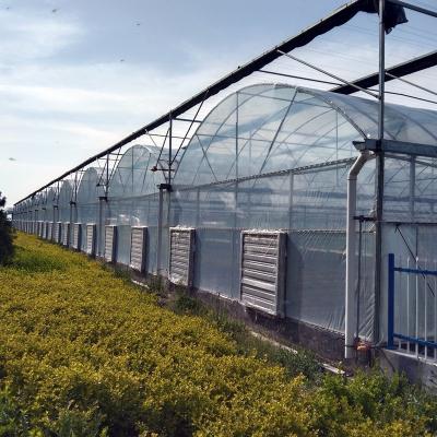 China Stable Structure Easily Assembled Poly Film Green House Arch Pipes Greenhouse From Chinese Supplier for sale