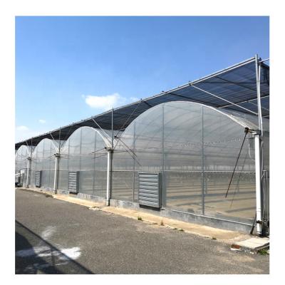 China Stable Structure Easily Assembled Agricultural Greenhouse Cheap Used Plastic Frames For Sale for sale