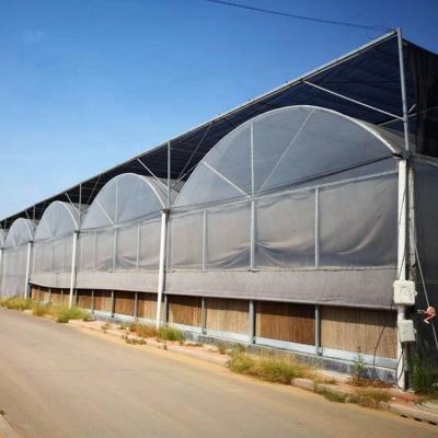 China Stable Structure Easily Assembled Large Span Steel Structure Prefab Agricultural Greenhouse From Chinese Manufacturer for sale