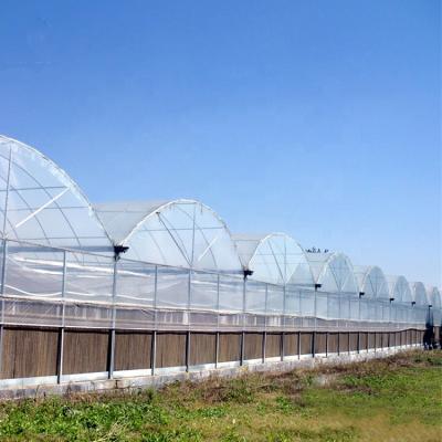 China Stable structure easily assembled poly green house high quality plastic multi-span greenhouse for agriculture for sale