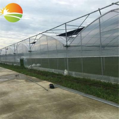 China Stable Structure Easily Assembled Wholesale Large Size Garden Greenhouse For Hydroponic Lettuce Growing for sale