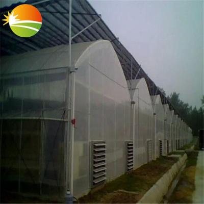 China Stable structure easily assembled poly green house agricultural plastic greenhouse with commercial hydroponic system for sale