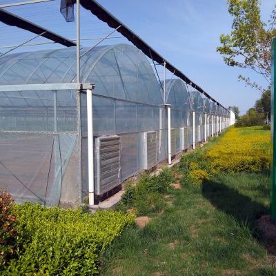 China Stable Structure Easily Assembled Economical Used Gutter Connected Film Greenhouse Structure With Hydroponic Mill System for sale