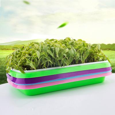 China Outdoor - Seed Tray Garden Greenhouse Sprout Planting Tray Thickened Tray Hydroponic Bean Seedling Double Layer Flat Seed Tray for sale