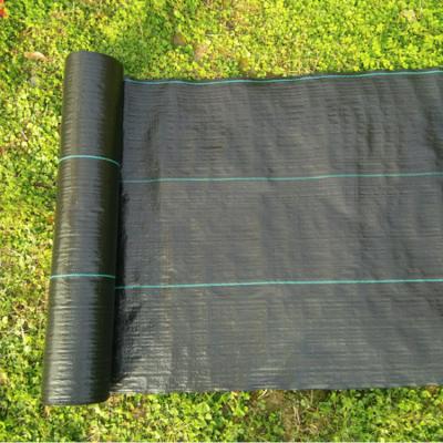 China PP or PE Plastic Weed Mat Anti Ground Cover Fabric Greenhouse Weed Mat Agricultural Greenhouse for sale