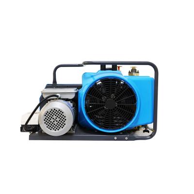 China 300 Bar Lubricated 4500 PSI 6.8 L High Pressure Cylinder Carbon Fiber Air Compressor Breathing Air Compressor for sale