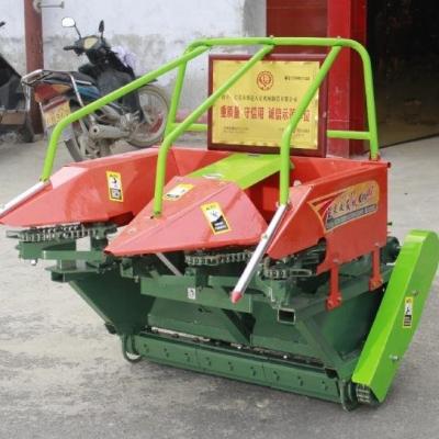 China Fram Use Corn Silage Harvester Mini Tractor Cast Iron Feeding Rollers Corn Harvesting Machine for sale