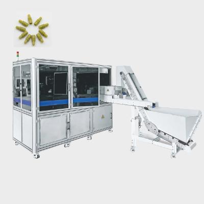 China High Speed DenT Double Glass Table Vision Inspection Machine For Checking Defect for sale