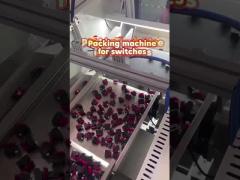 Revolutionize Fastener Packaging Integrated Counting And Visual Solution