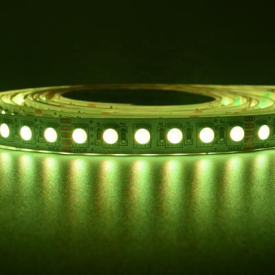 China Remote Control 5050 LANDSCAPE LED Strip Light High Brightness RGBW LED Holiday Light Support for Decor for sale