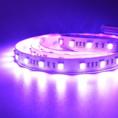 China LANDSCAPE RGB WW/CW LED Strip Light IP65 High Brightness 5050 Support LED Remote Control Holiday Light for sale