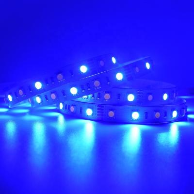 China Hotel Manufacture High CRI 80 60LED/m SMD5050 RGB+W 2700K 4000K 6000K Flexible Led Strip For Indoor for sale