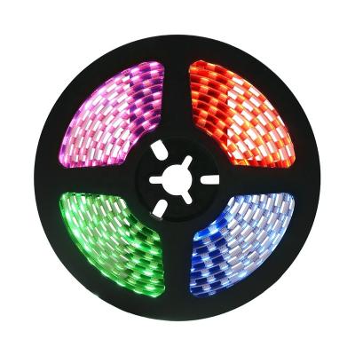 China LANDSCAPE Rope LED Strip Lights DC12v RGB LED Indoor Outdoor Light Use Strip Lights For Room Waterproof for sale