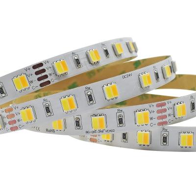 China LANDSCAPE RGB LED Strip Lights Flexible CCT LED Strip Light For Decoration SDM5050 Warm White Cool White LED Strips for sale