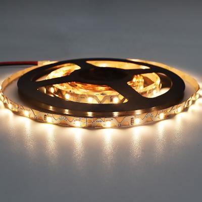 China LANDSCAPE S LED Strip Light Flex Strip Lights 12V LED For Decoration SMD2835 CRI90 LED Strip Support Remote Control for sale