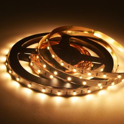 China Custom LANDSCAPE 3528 LED Strip High Brightness 60LEDs Strip Light Holiday Lighting Waterproof For Decoration for sale