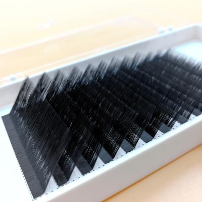 China High quality wholesale thick own brand 0.07, 0.05, 0.03 L premium pbt mink eyelash extension korean classic real flat curl lashextension for sale