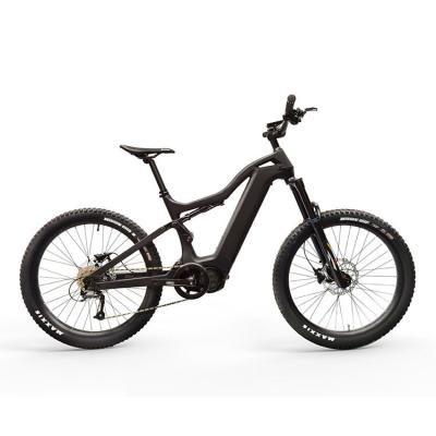 China Aluminum Alloy Factory Professional Mountain Carbon Frame Deore 12s Dual Motor 48v 1000w Electric Bike With Battery for sale