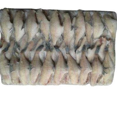 중국 Frozen Leather Jacket Fish Fillet Frozen Tuna Fish OEM 200-300g Sachet Packaging 판매용