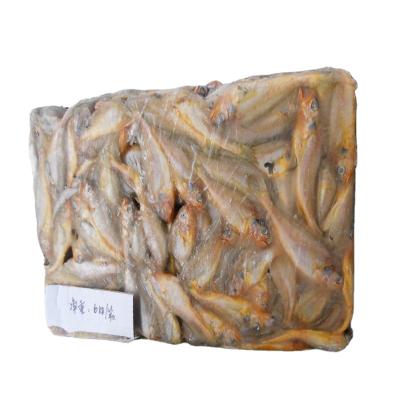 China New selling low fat 300-500g frozen fresh small yellow croaker raw material block in stock for sale