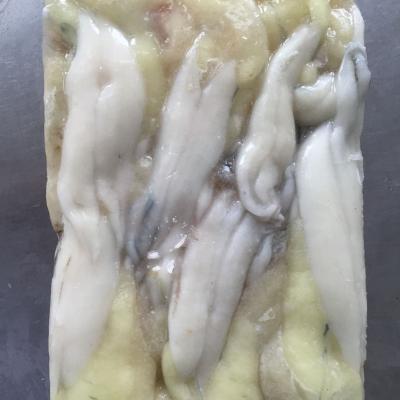 China factory direct Frozen giant whole round frozen organ argentinus illex squid roe raw material block in stock for sale