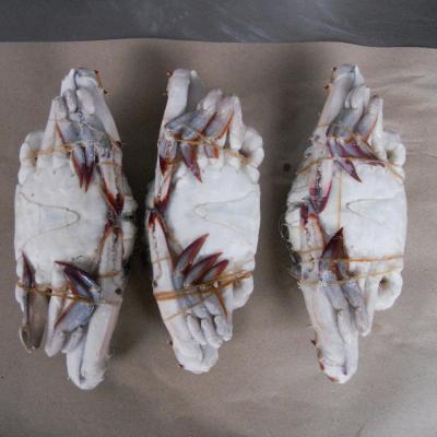 China New selling fat Frozen Crab BLUE CRAB Sales Price many other species exports crab raw material block in stock for sale