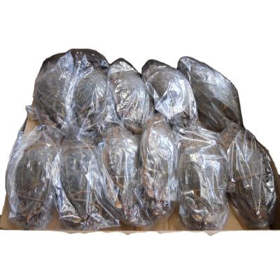 China natural Fresh cut ghost crab Frozen Blue Swimming Crab raw material block in stock for sale