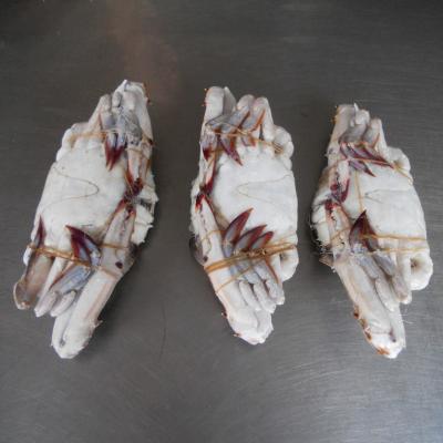 China hot selling big size many other species exports crab Frozen Blue Swimming Crab raw material block in stock for sale