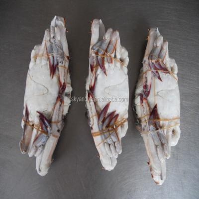 China healthy BLUE CRAB Sales Price frozen Frozen cut ghost crab raw material block in stock for sale