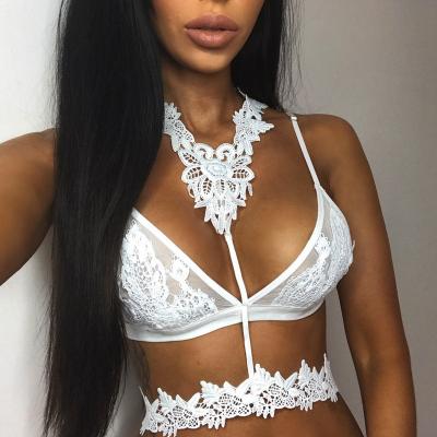 China 2019 Sexy Hot Style Women's Fashion Lace Transparent Bra Eco-Friendly Breathable Lingerie With Belt In Sexy Lingerie for sale