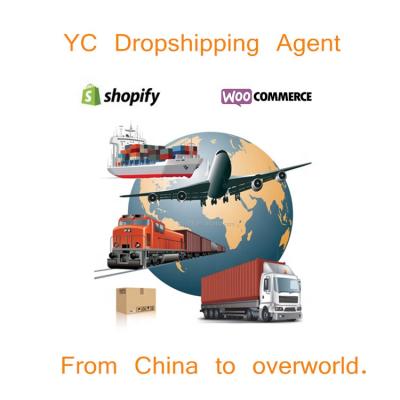 China China DDP DDU Air Freight Drop Shipping Agent Shopify France Germany Seller Transport Pet Product To USA Australia UK Amazon 01 for sale