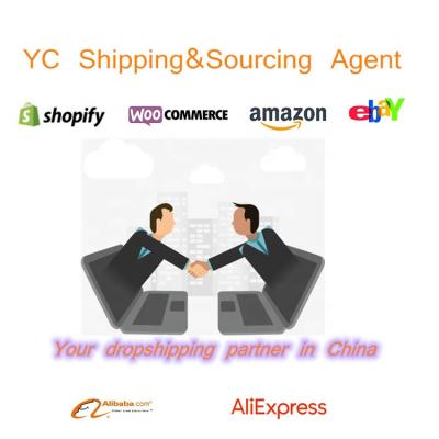 China Fast Delivery Professional Express Air Shopify Supply Agent Dropshipping USA France Germany Italy Order Completed Auto 01 for sale