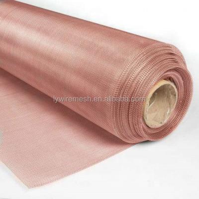 China Non Magnetic Shielding Copper Grid Mesh / Red Copper Wire Mesh Screen Copper Mesh Cloth for sale