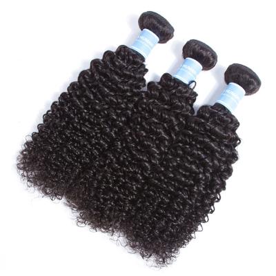 China Kinky Curly Bis Curly Wave Bundles Length 8-30 Inch Raw Virgin Human Remy Hair Bundles Free Sample Brazilian Cuticle Aligned Hair for sale