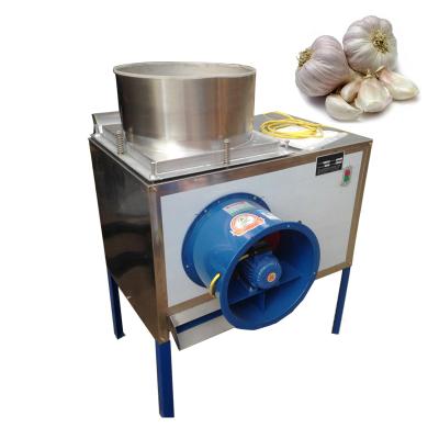 China Factory garlic skin peeler machine solvent peeling garlic in Egypt for sale