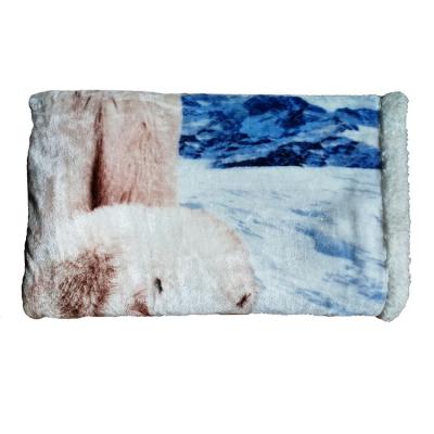 China Anti-pilling JISHUN Digital Printing Comfortable Lightweight Flannel Plush Microfiber Throw Blanket for sale