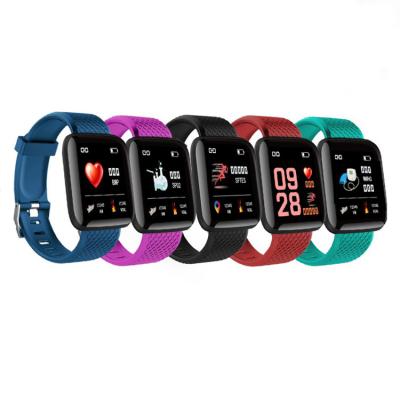 China 2019 Hot Sale Smart Sport Bracelet New Product Smart Band 116 Plus Heart Rate Fitness Watch Smart Bracelet for sale