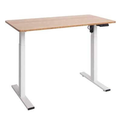 China (Height) Adjustable Electric Lifting Sit To Stand Up Height Adjustable Desk for sale