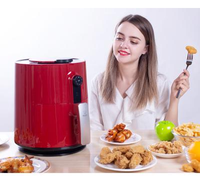 China Best Hotels Oven Camel Air Fryer Multifunctional Choice Household for sale