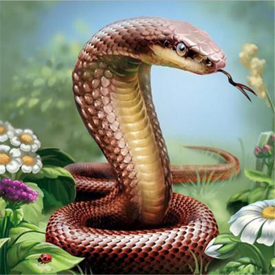 China Factory Wholesale Decorative 5D Diamond Painting Kits Environmental Friendly Diamond Rhinestone Children DIY Gift Python Snake Garden Painting for sale