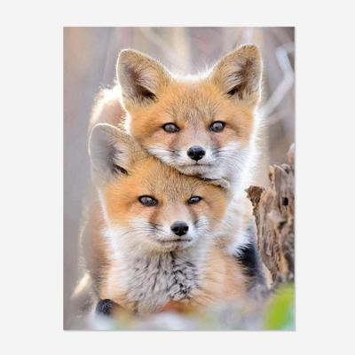 China Wholesale Custom Full Drill Environmental Friendly Diamond Painting Fox Animal Mosaic Art Wall Painting Christmas Gifts From Picture 5D DIY for sale