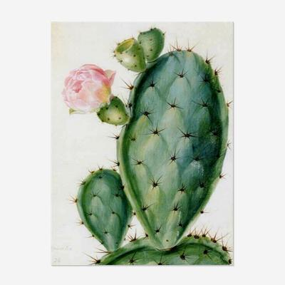 China Wholesale 5D Diamond Painting Personalized Customized DIY Flower Cactus Cartoon Flower Environmentally Friendly Gift Home Decor Mural OEM/ODM for sale