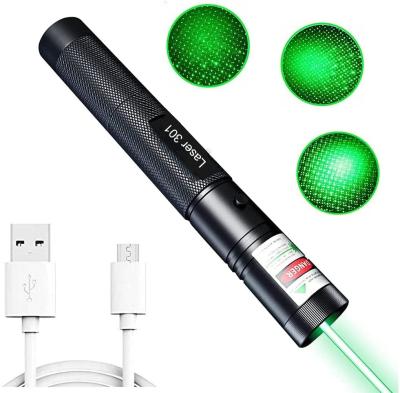 China XinLand 532nm 200mW Indication For Cats Toy USB Mini Red Laser Pointer Pen for sale