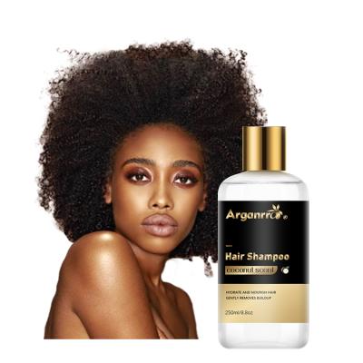 China Afro Natrual 4C Organic Hair Care Products Wash Color-Protecting Hair Nourishing Moistruzing Shampoo For Women for sale