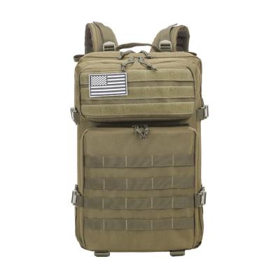 China Outdoor Sport Travel Hiking Camping Packing & Wholesale Delivery 600d Waterproof Molle Tactical Army Outdoor Hiking Rucksack Military Rucksack for sale