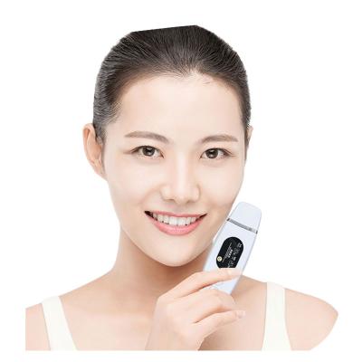 China Your skin is dry. Wholesale Necessary Moisturized Facial Tester Pen Beauty Equipment Skin Analyzer Mini Digital Skin Moisture Oil Moisture Skin Matter Tester for sale